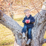 boy child with apple in tree